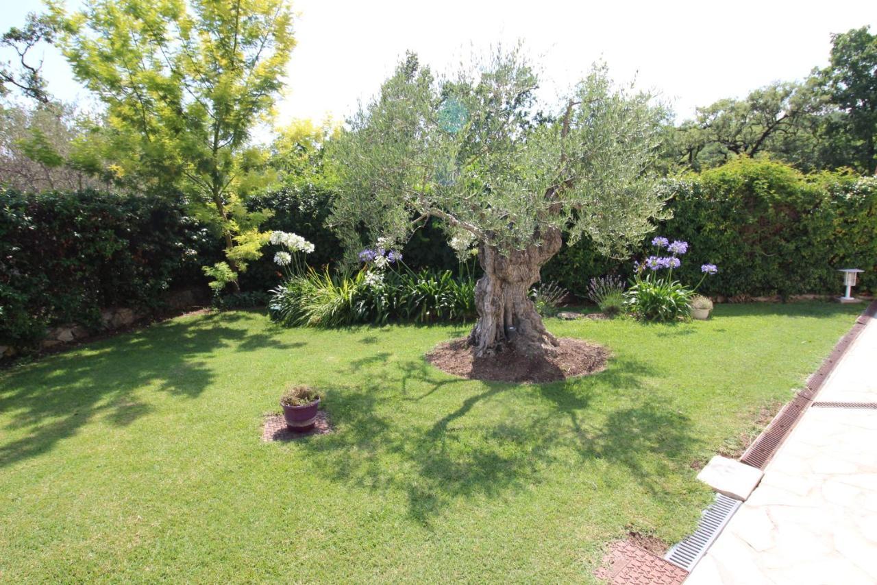 Villa Jalna Chambre, Suites Et Appartement Roquefort-les-Pins Zewnętrze zdjęcie